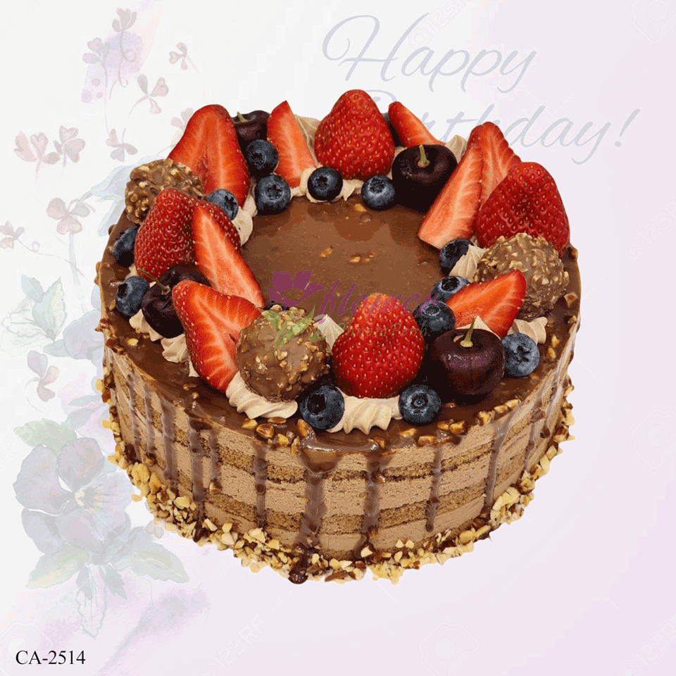 Chocolate cake CA-2514